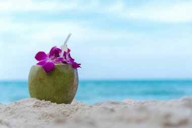 Hindistan cevizi suyu plaj tatil gün, mavi gökyüzü arka plan yakın çekim. Yaz ve tatil kavramı.