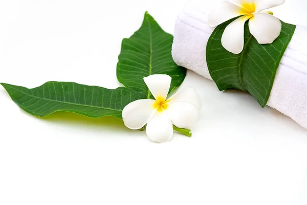 Frangipani Plumeria Spa Flor Sobre Madera Blanca Thai Spa Concepto — Foto de Stock