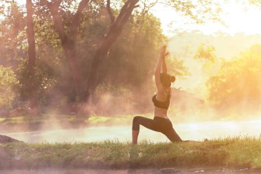 Sağlıklı bir yaşam tarzı. Siluet meditasyon yoga kadın için hayati rahatla ve kaplıca Park'ta sabahın enerji. Sağlıklı kavramı