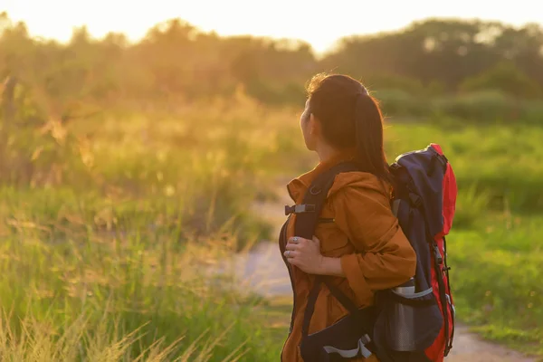 亚洲徒步者背着背包走在国家公园里 女游客去野营在草甸森林 日落背景 旅游理念 — 图库照片