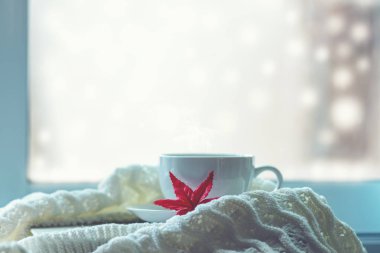 Sıcacık kış. Beyaz fincan sıcak kahve ile ilgili bir kitap kırmızı akçaağaç, vintage pencere üzerinde sıcak ekose. Yaşam tarzı kavramı