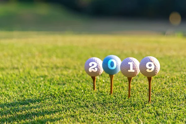 Golf sport conceptual. Happy new year 2019. Golf ball on the tee.  Holiday and Sport Concept.