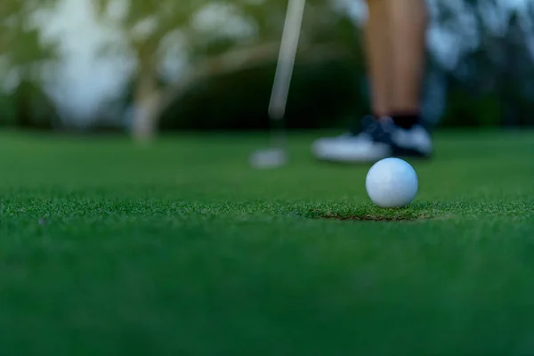 Desporto Saudável Golfista Asiático Esportivo Mulher Foco Colocando Bola Golfe — Fotografia de Stock