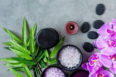 Thai Spa. Üstten görünüm için ayarlama sıcak taş tedavi masaj ve mor orkide cins blackboard kopya alanı ile rahatlayın. Yeşil yaprak siyah taş yığını için spa terapi ile. Yaşam tarzı ve sağlıklı kavramı.