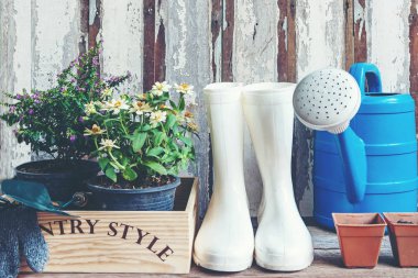 Bir kürek toprak ve çiçeklerle dolu Bahçe saksı aracı Bahçe yaz aylarında bahar zamanı. Yaşam tarzı kavramı