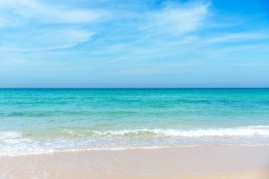 Tatil gezisi. Güzel ağaç beyaz kum plaj üzerinde. Yaz doğa görünümü