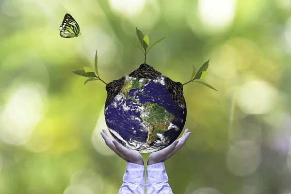Planet and tree in human hands over green nature ecology, Save the earth concept, Elements of this image furnished by NASA
