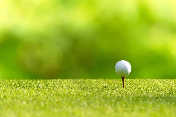 Palla Golf Approccio Tee Sul Verde Golf Swing Vacanza Giorno — Foto Stock