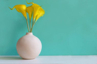 Raf beyaz ahşap çiçek ile Yeşil duvar, metin için kopya alanı. Natürmort ve Yaşam Tarzı Kavramı