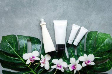 Spa kozmetik ürünleri organik yeşil kavramı, spa güzel Masaj beton arka plan en iyi görünüm ve kopyalama için metin alanı, Thai Spa rahatla ve sağlıklı vücut için tedavi.