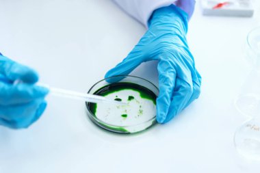 Yakın el bilim adamları sağlık ve araştırmacılar damlalık kimyasal test ve yaşam bilimi laboratuvarında çalışan bazı araştırma yapıyor çalışma.