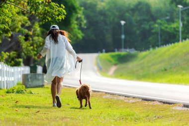 Asya yaşam tarzı kadın çalışan ve gündoğumu açık yaz parkı yol yakınında altın retriever dostluk köpek ile çok mutlu yürüme.