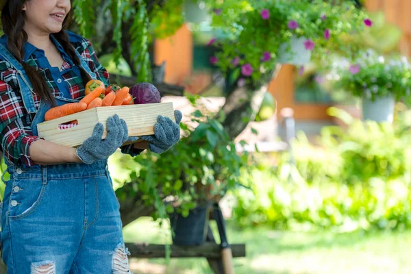 Asiática Feliz Agricultora Sosteniendo Una Cesta Verduras Ecológicas Viñedo Aire —  Fotos de Stock