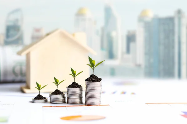 Investor of real estate.  The plants growing on money coin stack for investment home,  business newspaper with financial report on desk city background.  Investment property growth Concept