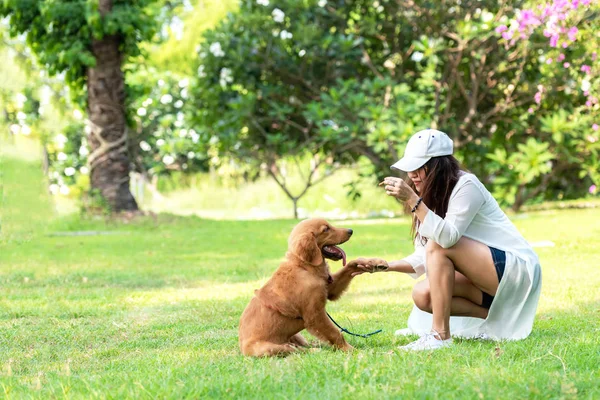 Asian Lifestyle Woman Playing Young Golden Retriever Friendship Dog Outdoor — Stock Photo, Image