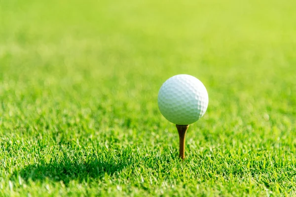 Närbild Golfklubb Slå Golfboll Längs Fairway Mot Grönt Med Kopieringsutrymme — Stockfoto