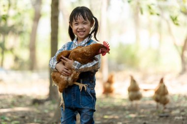 Asyalı küçük kız elinde yumurta, tavuğu bir kat ve çiftlik yumurtası tutuyor. İnsanlar dışarıda uyanır, evde kalır.. 