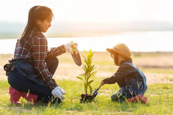 Hija Asiática Que Ayuda Madre Regar Plantar Árbol Planta Aire — Foto de Stock