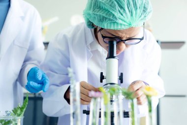 Asyalı Kadın ve takım bilim laboratuarı Doğal Alternatif bitki araştırması ve taze çiçekten gerekli yağ mikroskop ile yeni ürün cilt bakımı. Sağlıklı Laboratuvar 