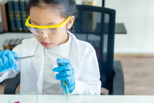 Ασιατική Κορίτσι Κλίνει Και Την Εκπαίδευση Της Επιστήμης Εργαστηριακή Έρευνα — Φωτογραφία Αρχείου