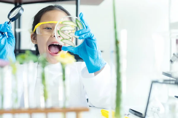 Ασιατική Κορίτσι Κλίνει Και Την Εκπαίδευση Της Επιστήμης Εργαστηριακή Έρευνα — Φωτογραφία Αρχείου