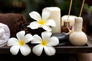 Tayland Spa 'sı. Sağlıklı yaşam ve rahatlama için masaj spa tedavisi aroması. Vücut tedavisi için Spa Plumeria çiçeği. Yaşam Tarzı Sağlıklı Kavram