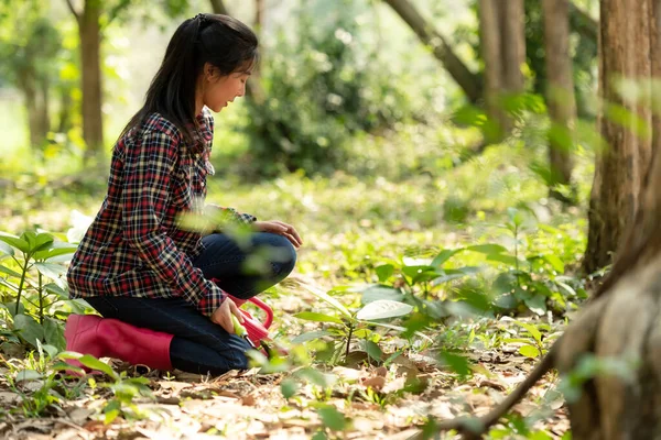 Mujer Joven Asiática Riega Planta Árbol Arbolado Aire Libre Naturaleza — Foto de Stock