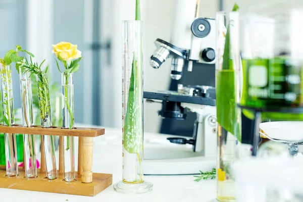 Science lab research with microscope for Natural aromatic and essential oil from fresh flower of for new product skin care in laboratory.  Healthy  Natural herb Concept