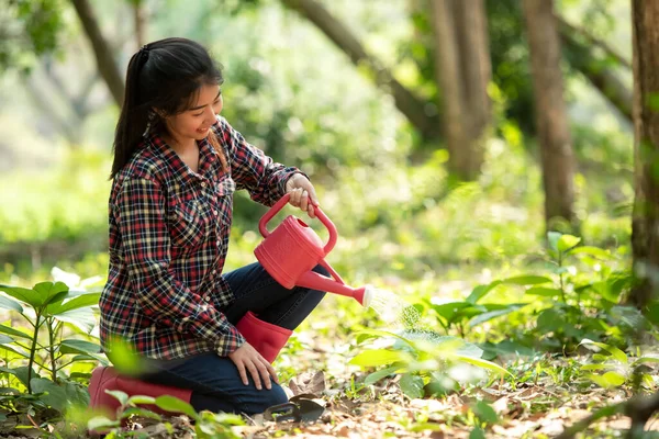 Asian young woman help afforest and water the plant with sapling tree outdoors in forest nature spring for reduce global warming growth feature and take care nature earth.