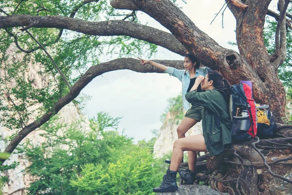 亚洲妇女徒步旅行者团体 带着背包在大树检查图上寻找野外森林中的方向和双筒望远镜 人与人之间的团队精神不断提升 指向群山 吸引划时代的泰国 旅行概念 — 图库照片