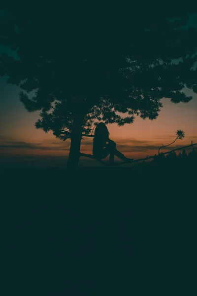 gün batımını izlemek bir ağaç üzerinde bir kız silüeti
