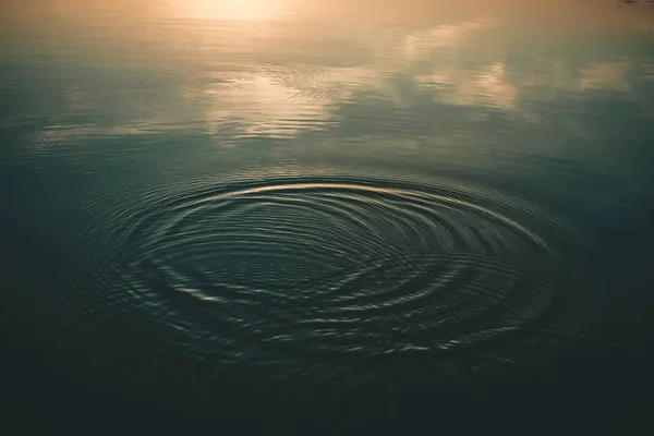circles on the water