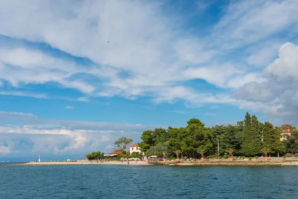 Arbres Verts Sur Front Mer Sur Fond Une Surface Calme — Photo