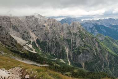 Orman, arka planı gri bulutlar ile büyümüş kayalık dağ doruklarına görünümü