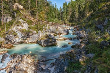 Turkuaz dağ nehir iğne yapraklı orman ve düşmüş ağaç arka plan üzerinde kayalar arasında