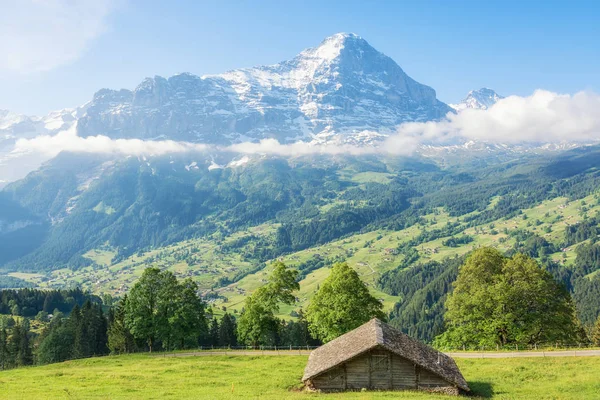 Valle de Grindelwald, vista del Eiger desde Bussalpstrasse, Suiza — Foto de Stock