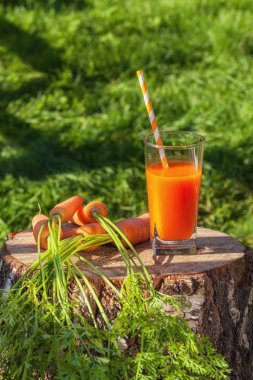 Bahçeden havuç ve huş ağacı kütüğünde taze meyve suyu, Rusya