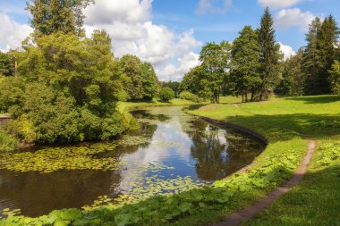 Saray parkında nilüferli sessiz nehir, Pavlovsk, St. Petersburg bölgesi, Rusya