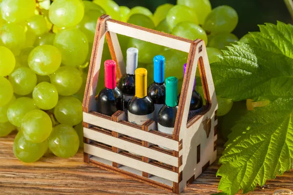 Portatif bir kutuda altı şişe şarap üzümlerin arka planına ve alçak güneşin altında yeşil bir yaprağa karşı.