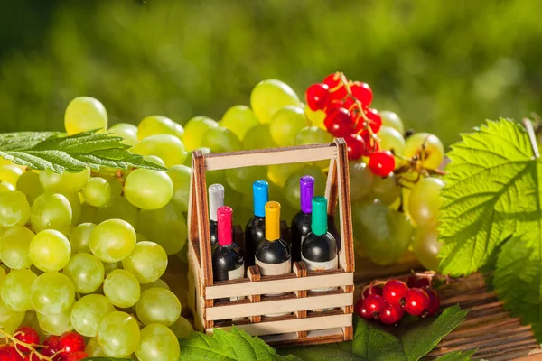 Six bottles of wine in a carrying case against a backdrop of grapes, red currants and green leaves in backlight