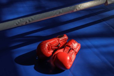 Mavi halkalı bir çift kırmızı boks eldiveni. Güçlü gölgeleri var. Spor eğitimi için mükemmel..