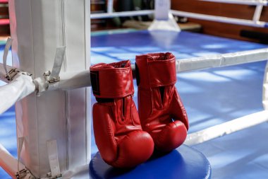 Kırmızı boks eldivenleri, mavi tuval ve beyaz iplerle bir ringin köşesinde dinleniyor. Temiz kopya alanı olan antrenman, rekabet ve zindelik kavramları için mükemmel..