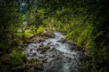 Şelale ve Andorra ormanda fotoğrafı.
