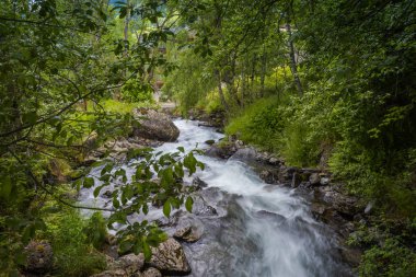 Şelale ve Andorra ormanda fotoğrafı.