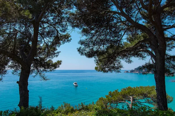 Jardins Santa Clotilde Lloret Mar Catalunha — Fotografia de Stock