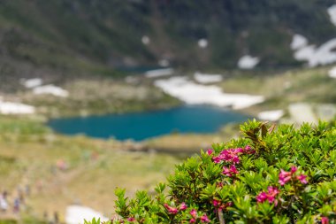 Pireneler 'deki Tristaina yüksek dağ gölleri, Andorra.