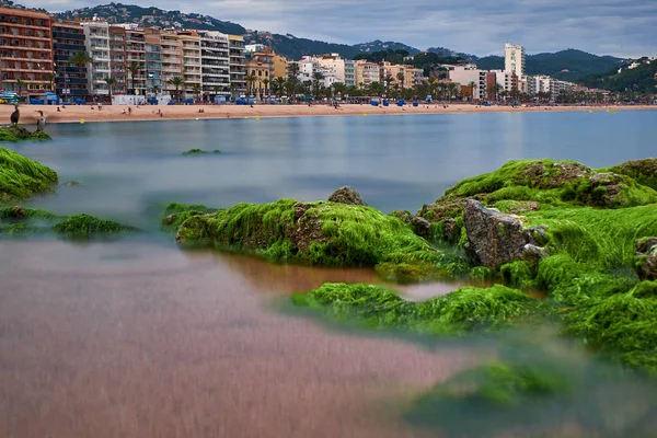 Costa Brava Katalonya Lloret Mar — Stok fotoğraf