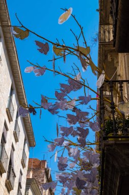 Temps de un, Girona, Katalonya 'da çiçek festivali