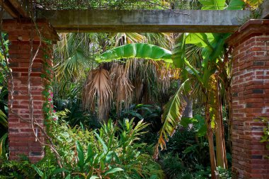Blanes, Katalonya 'daki Marimurtra Botanik Bahçesi.