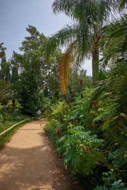 Blanes, Katalonya 'daki Marimurtra Botanik Bahçesi.